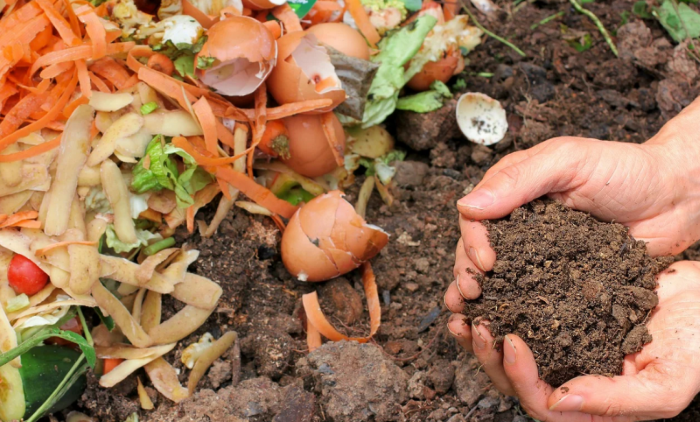 Jak vyrobit přírodní hnojivo ze surovin, které máte běžně doma