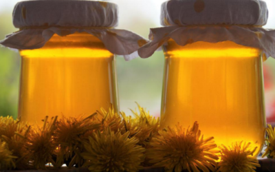 Výroba domácího medu krok za krokem