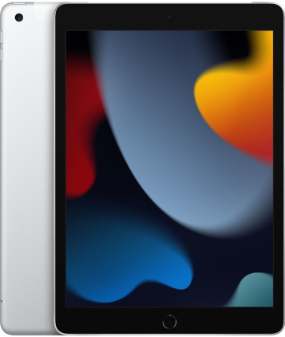 Apple iPad Wi-Fi + Cellular 256GB, Silver MK4H3HC/A